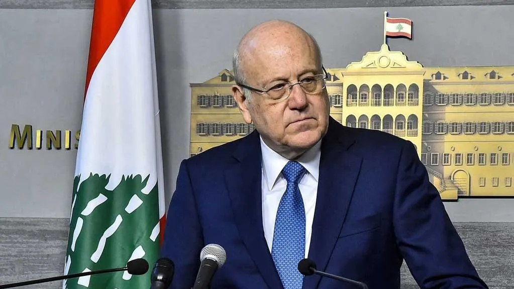 دیدار نجیب میقاتی و رجب طیب اردوغان در ترکیه