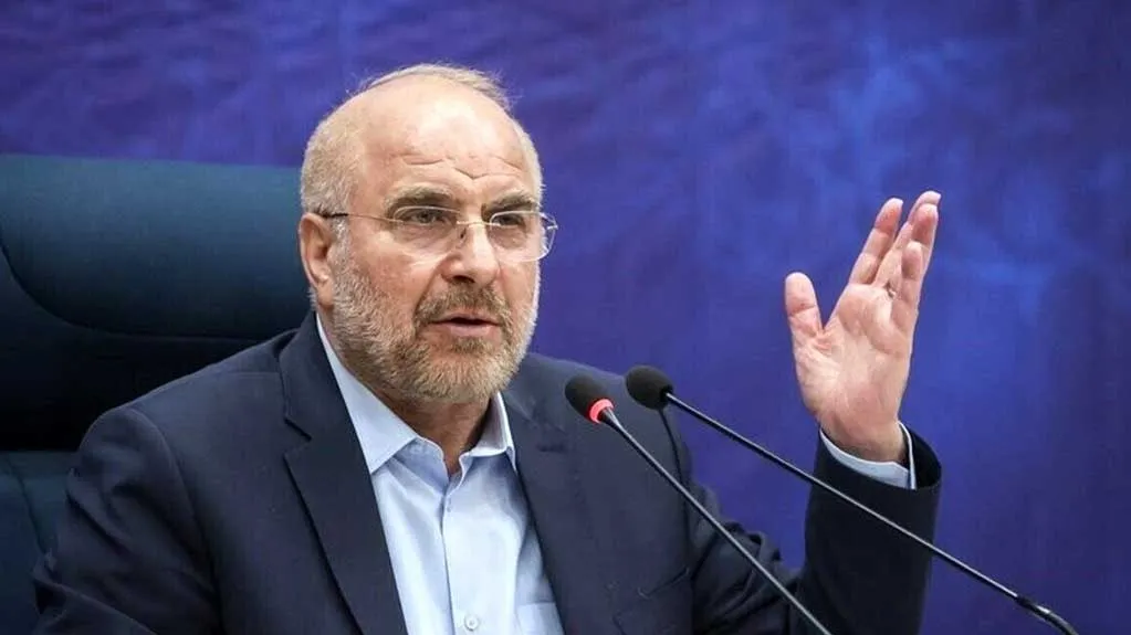 دیدار رئیس مجلس با اعضای شورای عالی نظام پرستاری در آستانه روز پرستار