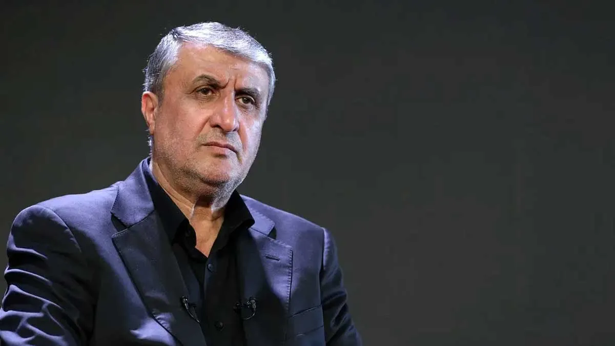 محمد اسلامی رئیس سازمان انرژی اتمی ایران در حال سخنرانی