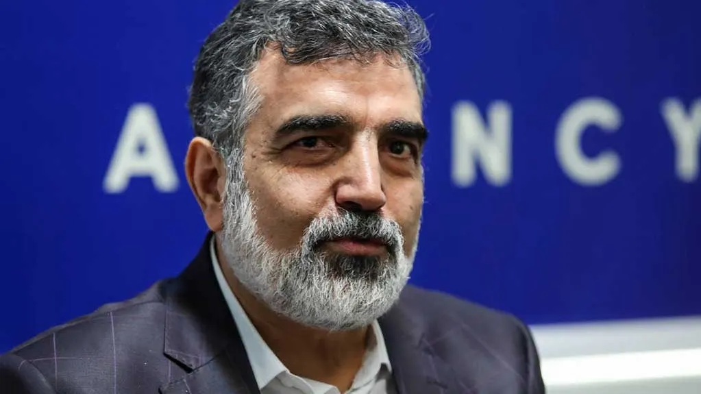 فعالیتهای صلحآمیز هستهای ایران تحت نظارت آژانس بینالمللی انرژی اتمی