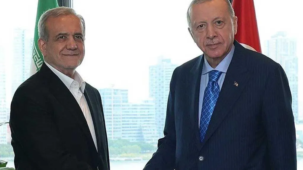 دیدار پزشکیان و اردوغان در حاشیه اجلاس D8