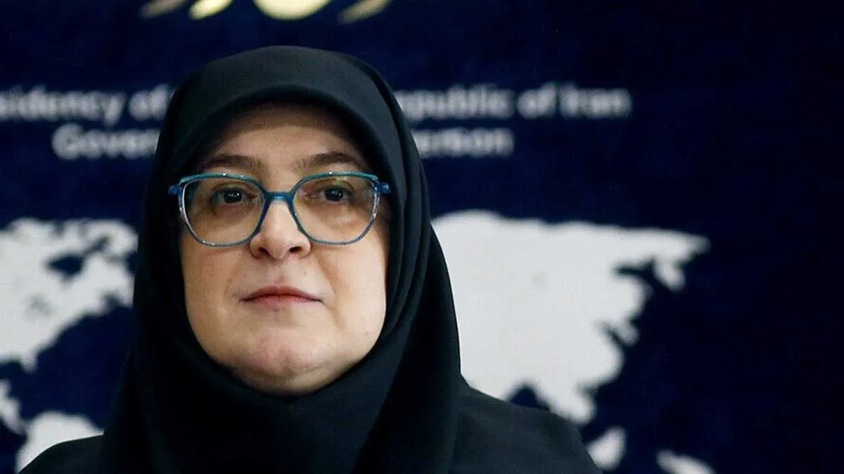 سخنگوی دولت اعلام پرداخت خسارات حملات