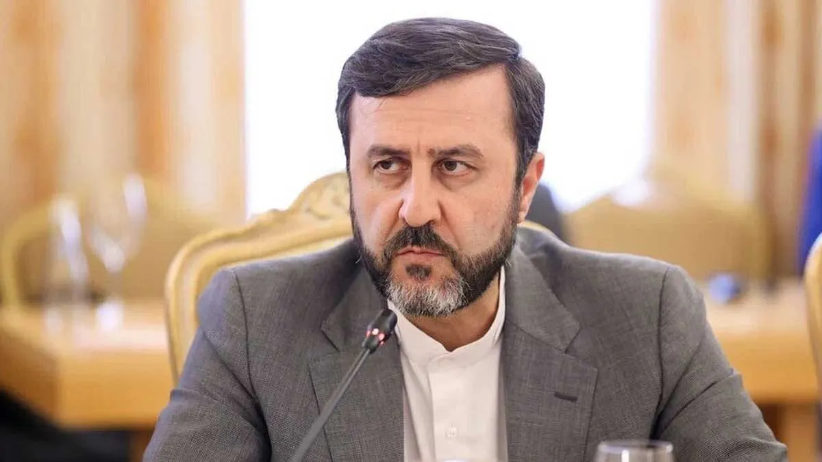 غریب‌آبادی در نشست سازمان ملل متحد
