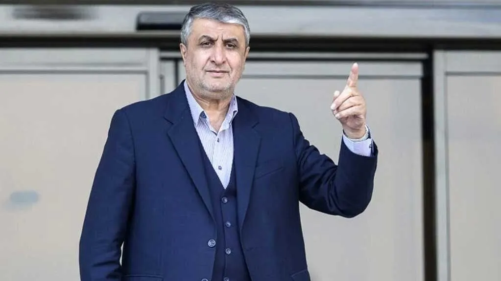رئیس سازمان انرژی اتمی ایران در حاشیه جلسه هیئت دولت