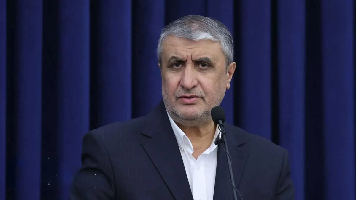 محمد اسلامی رئیس سازمان انرژی اتمی ایران در کنفرانس آژانس بینالمللی انرژی اتمی