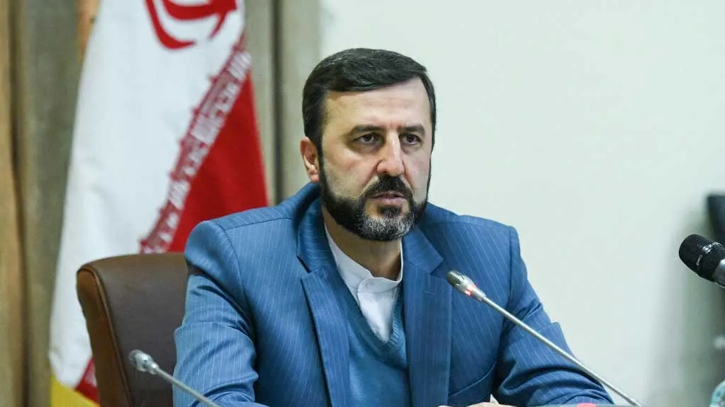 واکنش ایران به اظهارات مدیرکل آژانس بینالمللی انرژی اتمی
