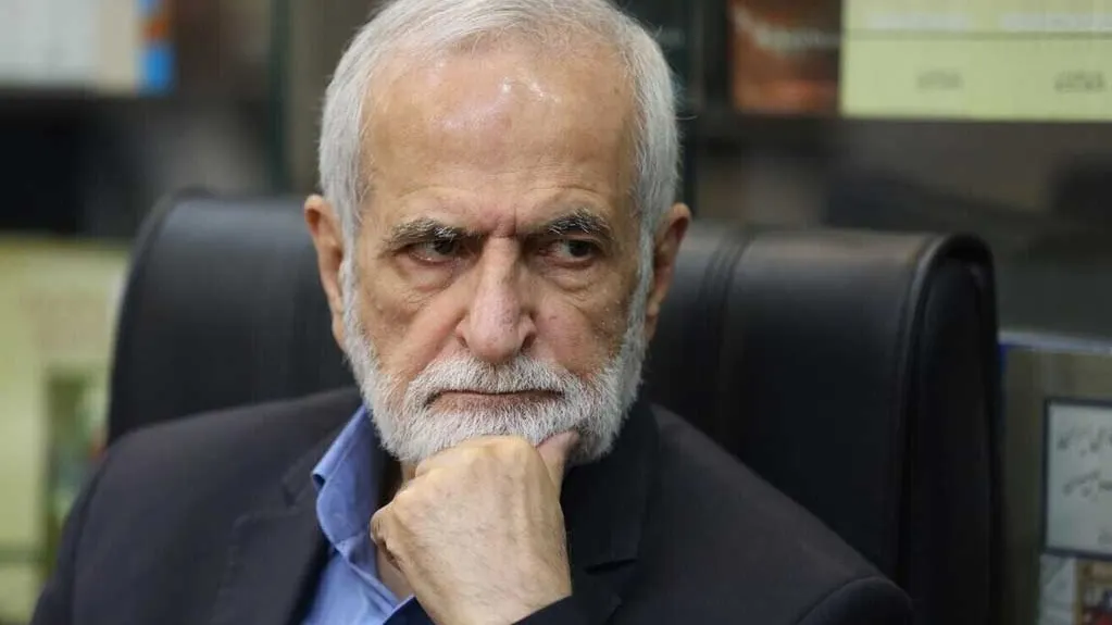 مقاومت و پایداری در برابر فشارهای بینالمللی