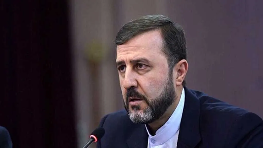 معاون حقوقی وزارت خارجه در نشست خبری درباره مذاکرات رفع تحریم
