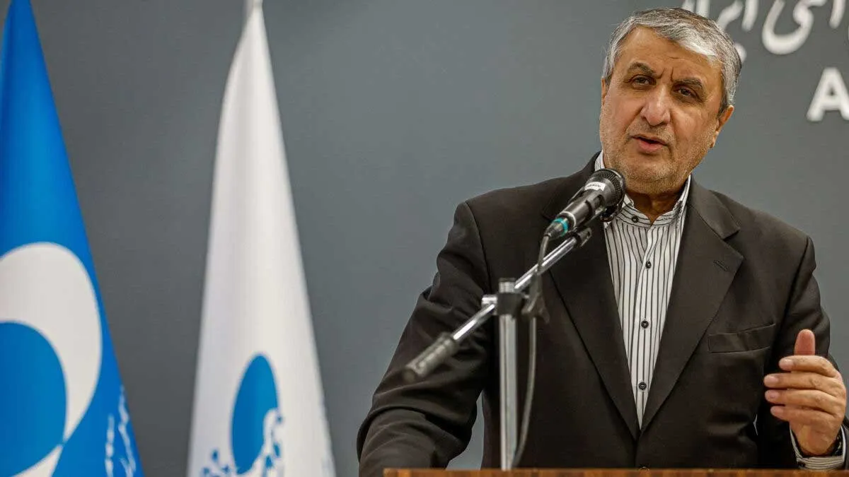 رئیس سازمان انرژی اتمی ایران در حال سخنرانی درباره برنامه هستهای کشور